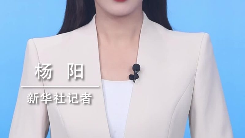 Hadoop数据仓库与传统数据仓库：架构与性能的深度解析
